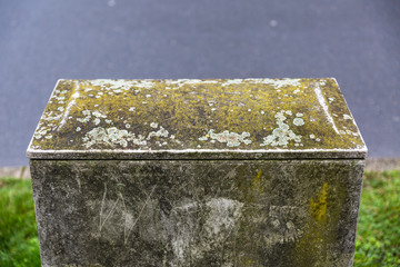 Moss covered box