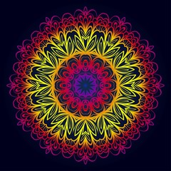 Modern Decorative Cicle Shapes. Floral mandala. vector illustration