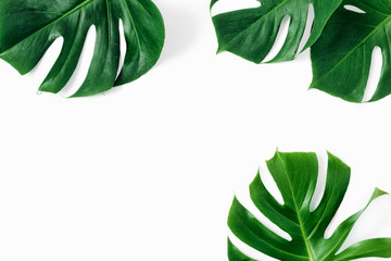 Tropical leaves Monstera white background copy space top view flat lay