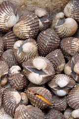 Fresh raw sea cockles clams display for sale at seafood market or Thai street food