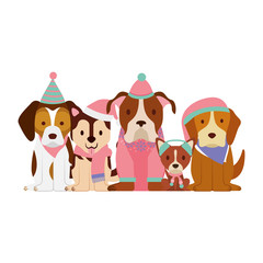 merry christmas card