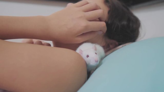 little girl is played on a bed with a white homemade handmade rat mouse. funny video rat crawling lifestyle over a little girl. girl and white mouse pet concept