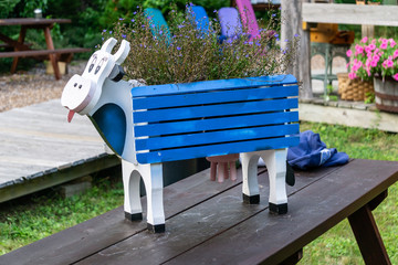 Cow Flower Box