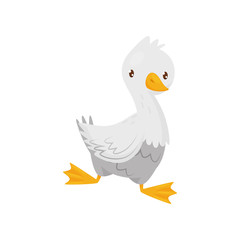 Obraz premium Cute goose with white feathers, orange beak and legs. Farm bird. Domestic fowl. Flat vector icon