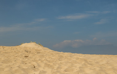 A sand dune isolated and viewed from a low angle of view against a misty blue sky image with copy space in landscape format - Powered by Adobe
