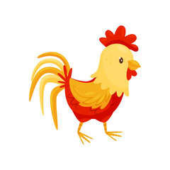Flat vector icon of rooster with red-orange feathers, big scallop and lush tail. Domestic fowl. Farm animal