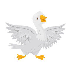 Flat vector portrait of adult goose with wide open wings. Farm bird with white feathers, orange beak and legs
