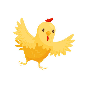 Small yellow chicken with wide open wings. Farm bird with orange beak and red scallop. Flat vector icon