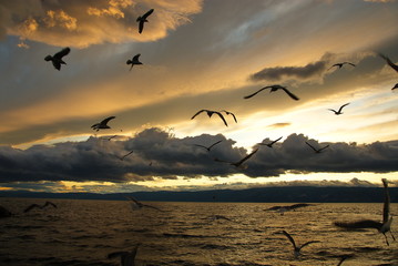 Early morning on the big lake.