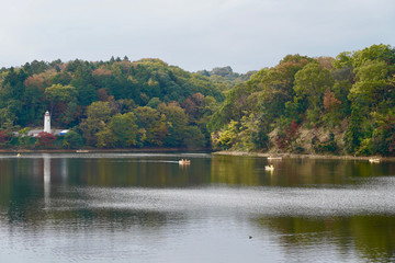 Obraz premium The Lake Miyazawa in Saitama