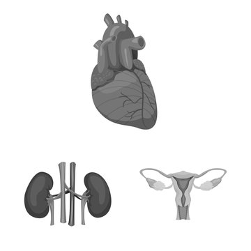 Vector design of body and human logo. Set of body and medical vector icon for stock.