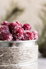 Candied cranberries on the background of fir branches