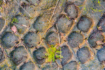 Traces from tread of car on mud ground. Tire tread on dirt ground