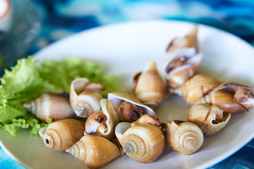 Hoi Chak Teen or wing-shell and dog conches. The famous seafood  delicacy in Krabi.