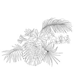 A composition of tropical plants, palm leaves