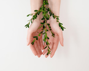 Beautiful groomed woman's palm hands with green leaves on the table..Natural organic cosmetic, skin...