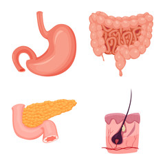 Isolated object of body and human symbol. Set of body and medical stock symbol for web.