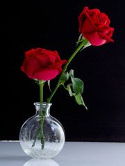 Fine Art Photography: Roses