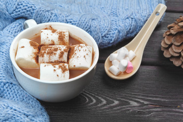 Fototapeta na wymiar Hot chocolate with marshmallows on the table