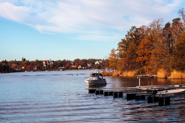 Autumn on Lidingo Island