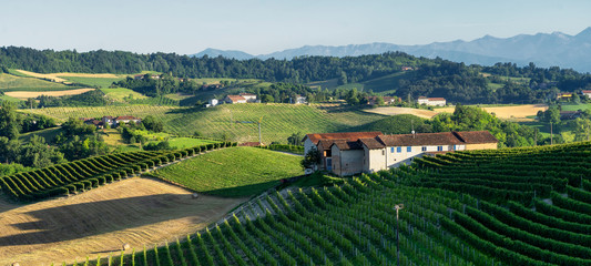 Vineyards near Barolo, Cuneo, in Langhe