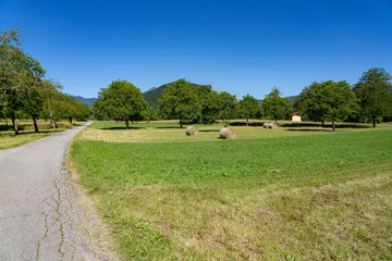 Fototapeta premium Stura di Demonte valley at summer