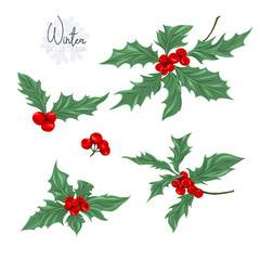 Set with a christmas plant