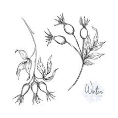 Set with a christmas plant