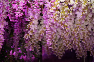 東京の冬のイルミネーション