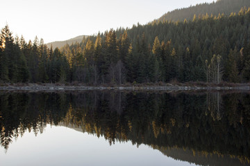 Fototapeta na wymiar Pine forest at sunset with its reflection in the Trillium Lake in Oregon.