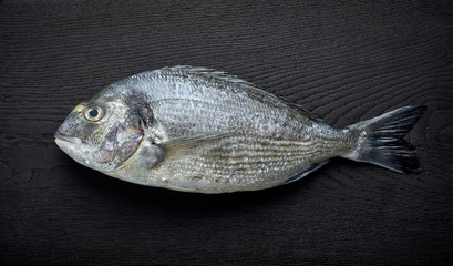 raw sea bream
