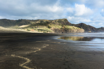 Fototapeta na wymiar Black sand beach, Bethells Beach, New Zealand