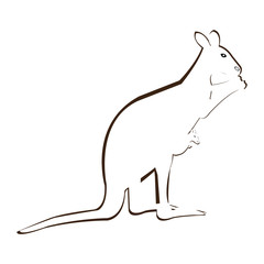 Vector outline of kangaroo with baby in pouch