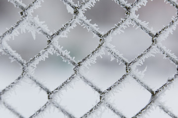 Lattice fence covered with hoarfrost macro. Pattern close-up