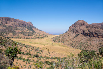African Landscape