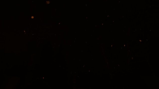 The gold, yellow flying particles for your Wedding, Valentine's Day, Birthday, Celebration, Carnival, Party or Holiday Projects!Use blending mode (screen). Slow Motion.