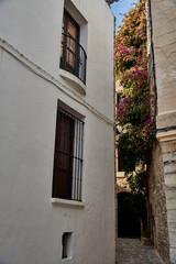 Fototapeta na wymiar Mediterranean House in Ibiza and the nature around