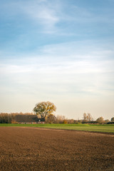 Plowed field with a farm in the background
