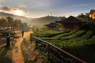 Fototapeta na wymiar Beautiful scenery during sunrise at Chinese style village among Tea Plantation at Ban Rak Thai , Mae Hong Son in Thailand.This is a very popular for photographers and tourists.