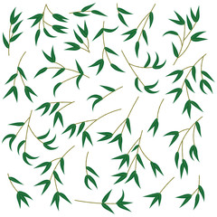 Bamboo leaves illustration set. Vector.