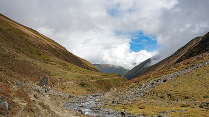 Fototapeta premium Horse train carrying the camp along Jomolhari trek, Bhutan.