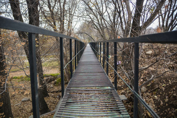 View on the bridge between trees.