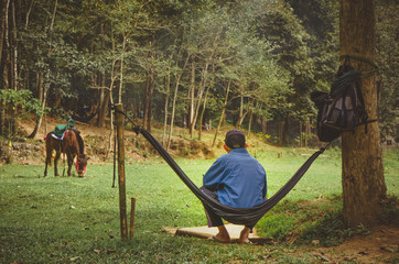 A shepherd is resting in a hammock and is watching his mule that is grazing in a pasture. Journey...