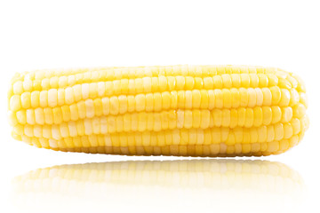 corn isolated on white background