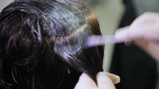 Barber Cutting Woman's Hair. Hairdresser cutting hair, does a hairstyle.