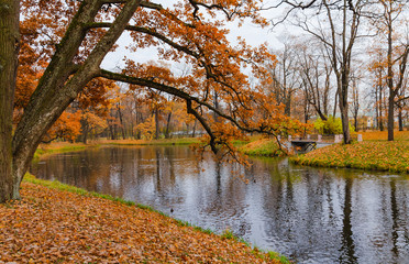 Autumn Pond in Pushkin, St. Petersburg, Russia.