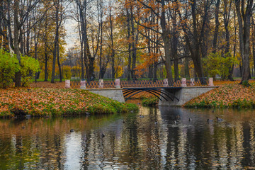 Stone Bridge. Autumn in Pushkin, St. Petersburg, Russia