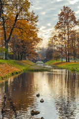 Autumn Pond in Pushkin, St. Petersburg, Russia.