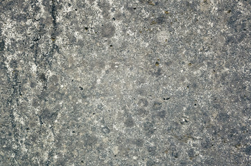 mildewed wall background