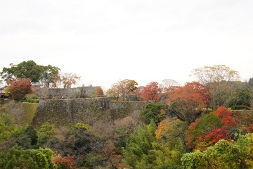 岡城跡の石垣と紅葉のコラボレーションが美しい秋の風景